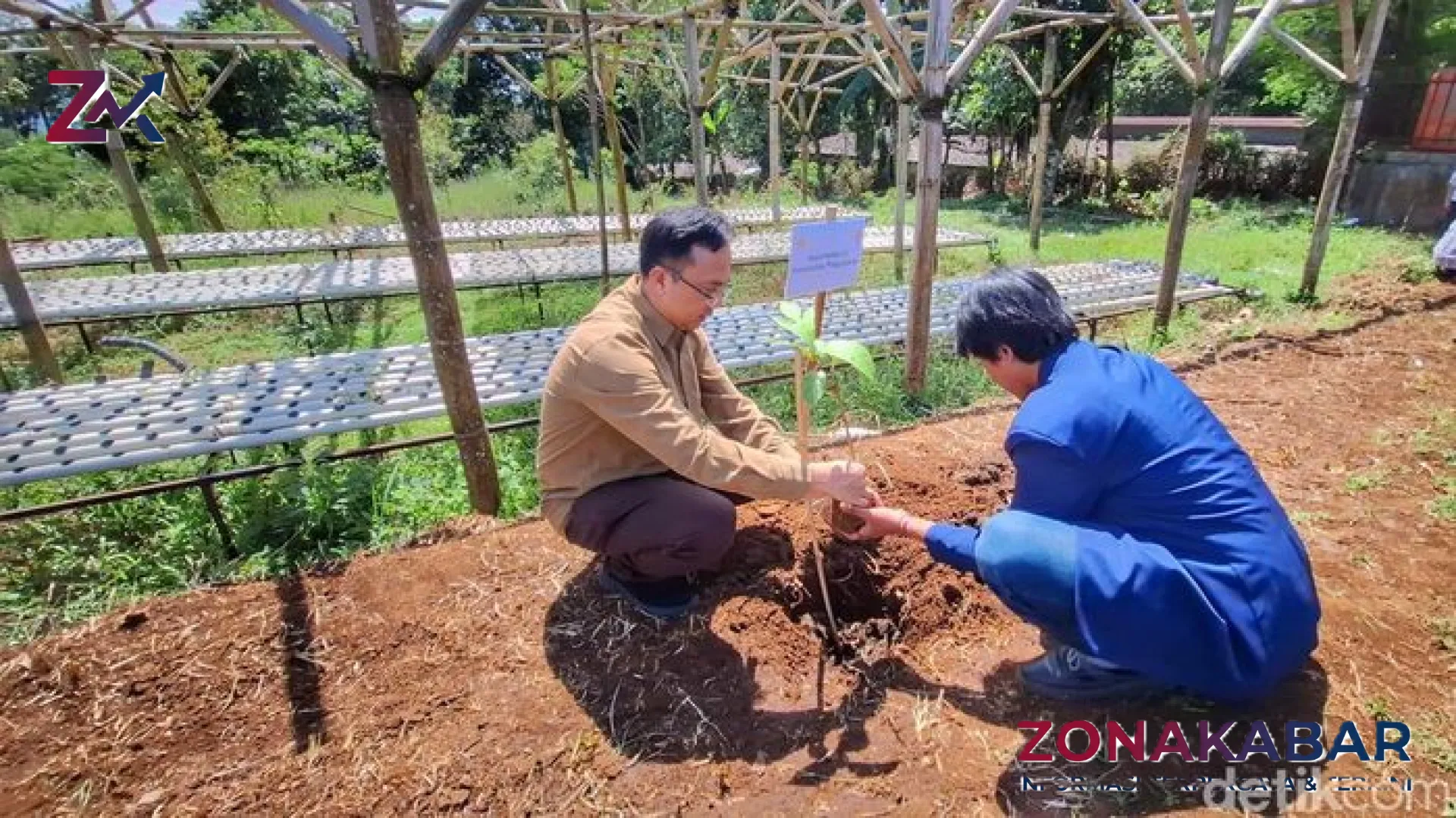 Sukun Arjasari: Menakar Potensi ‘Emas Hijau’ Bandung Sebagai Penyelamat Pangan Masa Depan