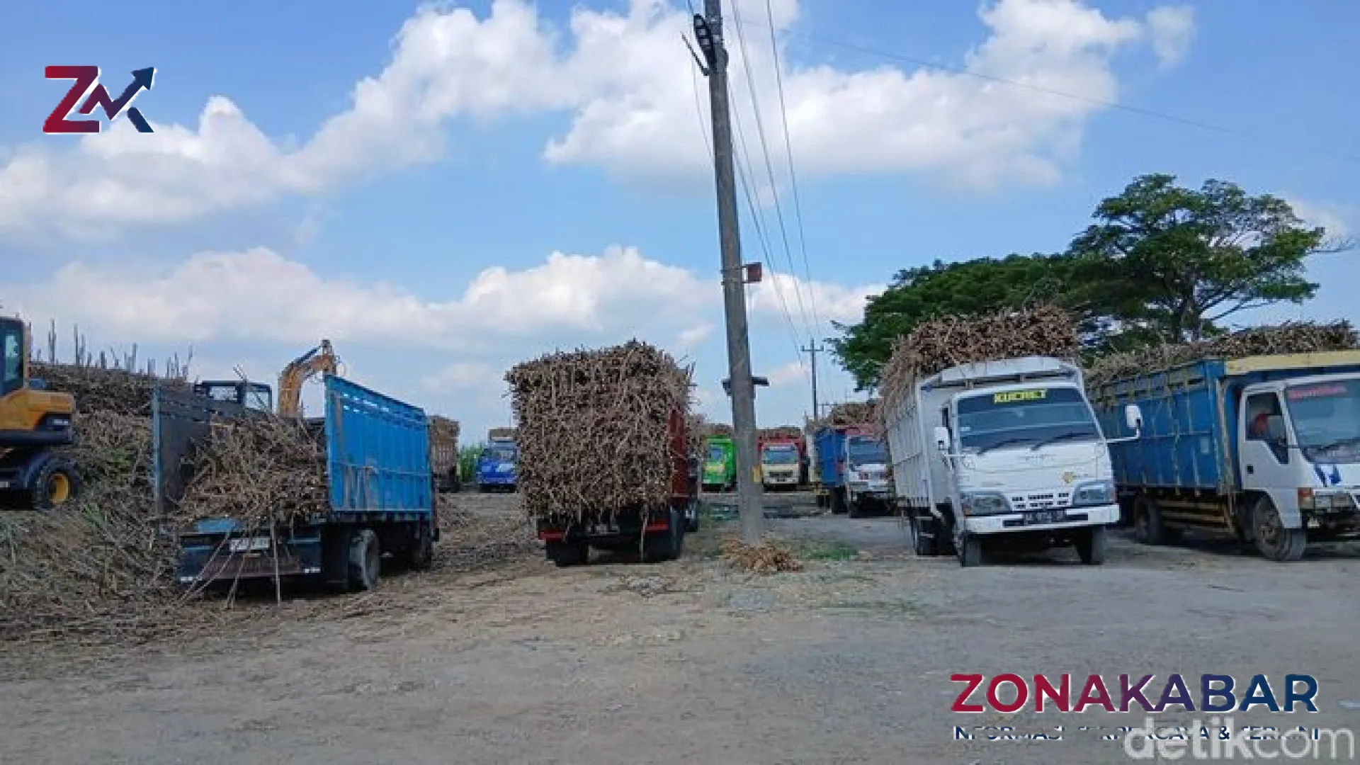 Dilema Truk Tebu di Todanan Blora: Antara Napas Ekonomi Petani dan Keluhan Pengguna Jalan