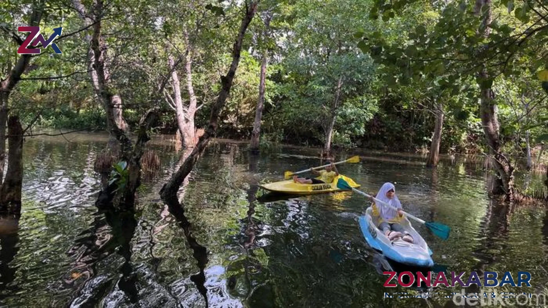 Eksotisme Susur Mangrove Pantai Cacalan: Petualangan Kano Unik di Ujung Timur Pulau Jawa