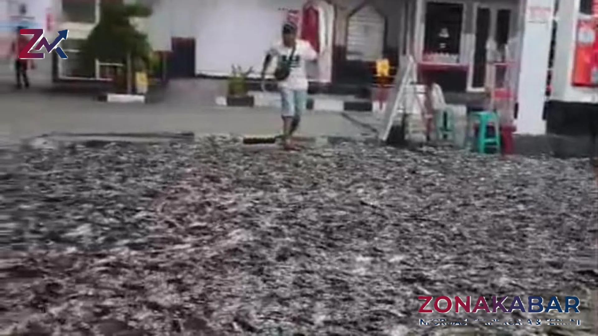 Fenomena ‘Hujan Lele’ di Klaten: Ribuan Ikan Tumpah Ruah Penuhi SPBU Cokro, Lalu Lintas Sempat Lumpuh Total