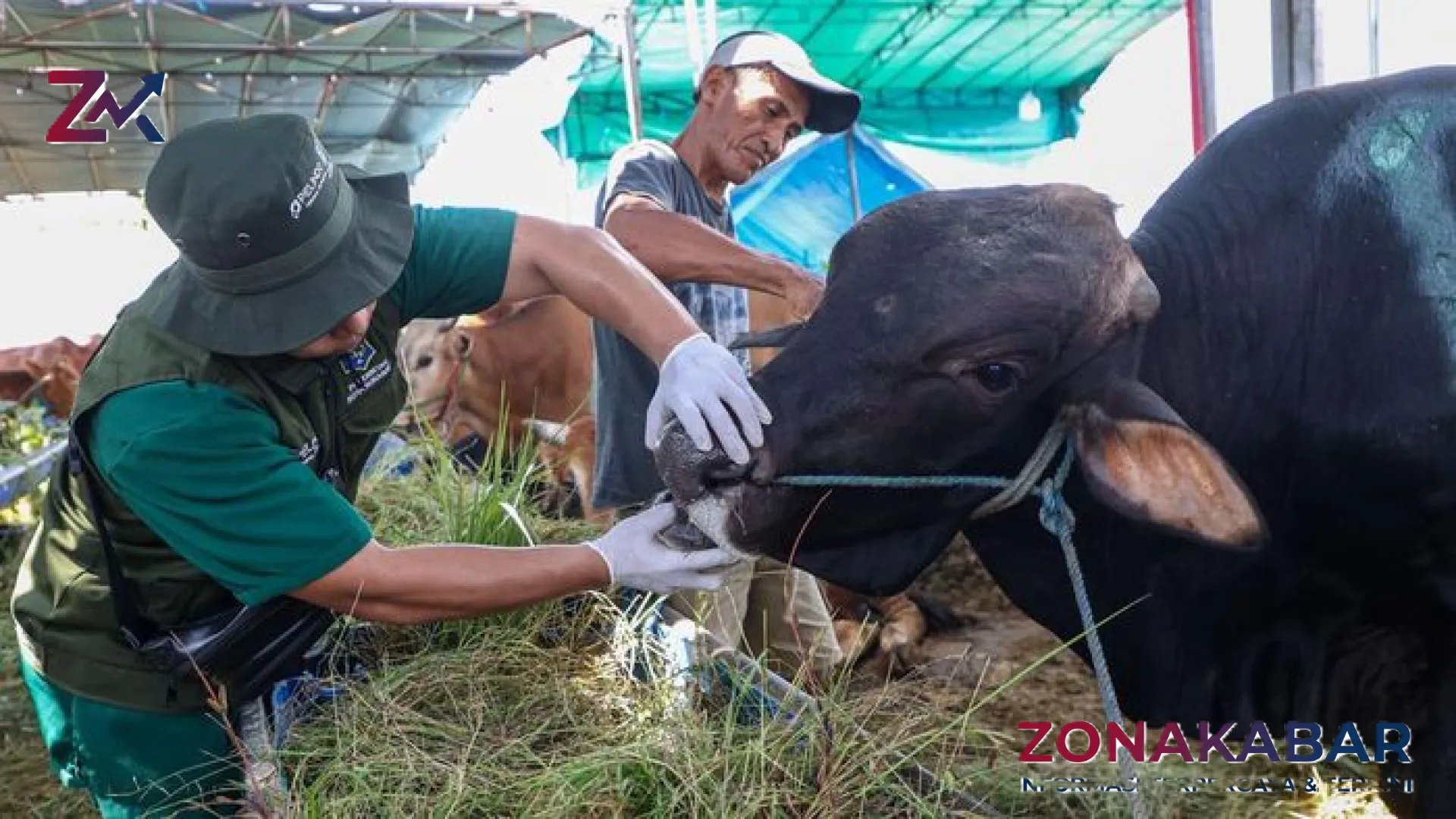 Menjamin Kualitas Ibadah: Strategi Komprehensif Pemkot Surabaya dalam Pengawasan Hewan Kurban Menjelang Idul Adha 2026