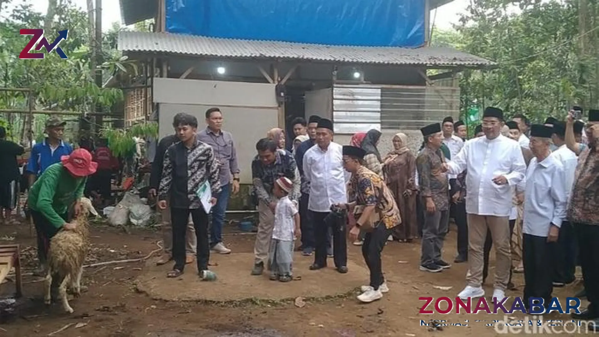 Sinergi Kebaikan: Baznas Salurkan Puluhan Hewan Dam Haji 1447 H di Pemalang untuk Masyarakat Rentan